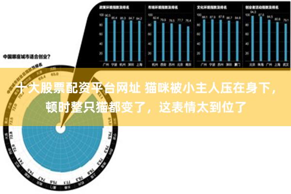 十大股票配资平台网址 猫咪被小主人压在身下，顿时整只猫都变了，这表情太到位了