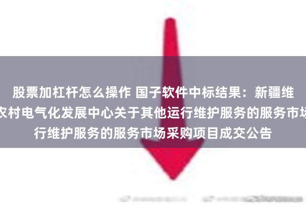 股票加杠杆怎么操作 国子软件中标结果：新疆维吾尔自治区水电及农村电气化发展中心关于其他运行维护服务的服务市场采购项目成交公告