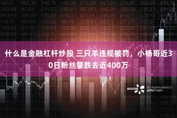 什么是金融杠杆炒股 三只羊违规被罚，小杨哥近30日粉丝量跌去近400万