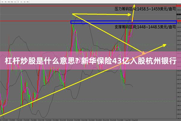 杠杆炒股是什么意思? 新华保险43亿入股杭州银行